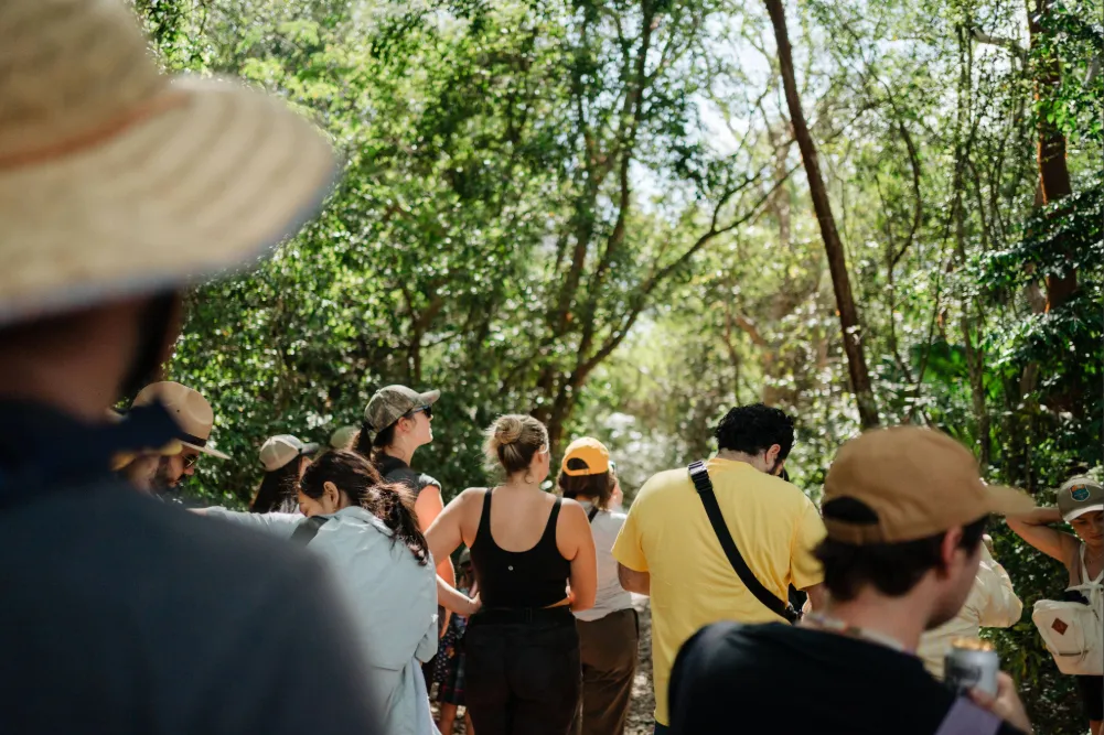 Poetry for the Pines Chantal Lawrie 28 1 1