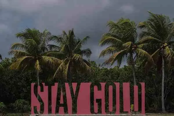 Stay Gold6
