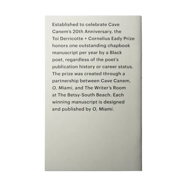 I Could Never Be Your Woman Back Cover 2