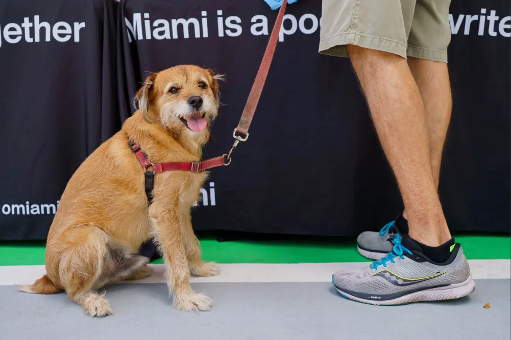 Dogleggers Chantal Lawrie 59 1