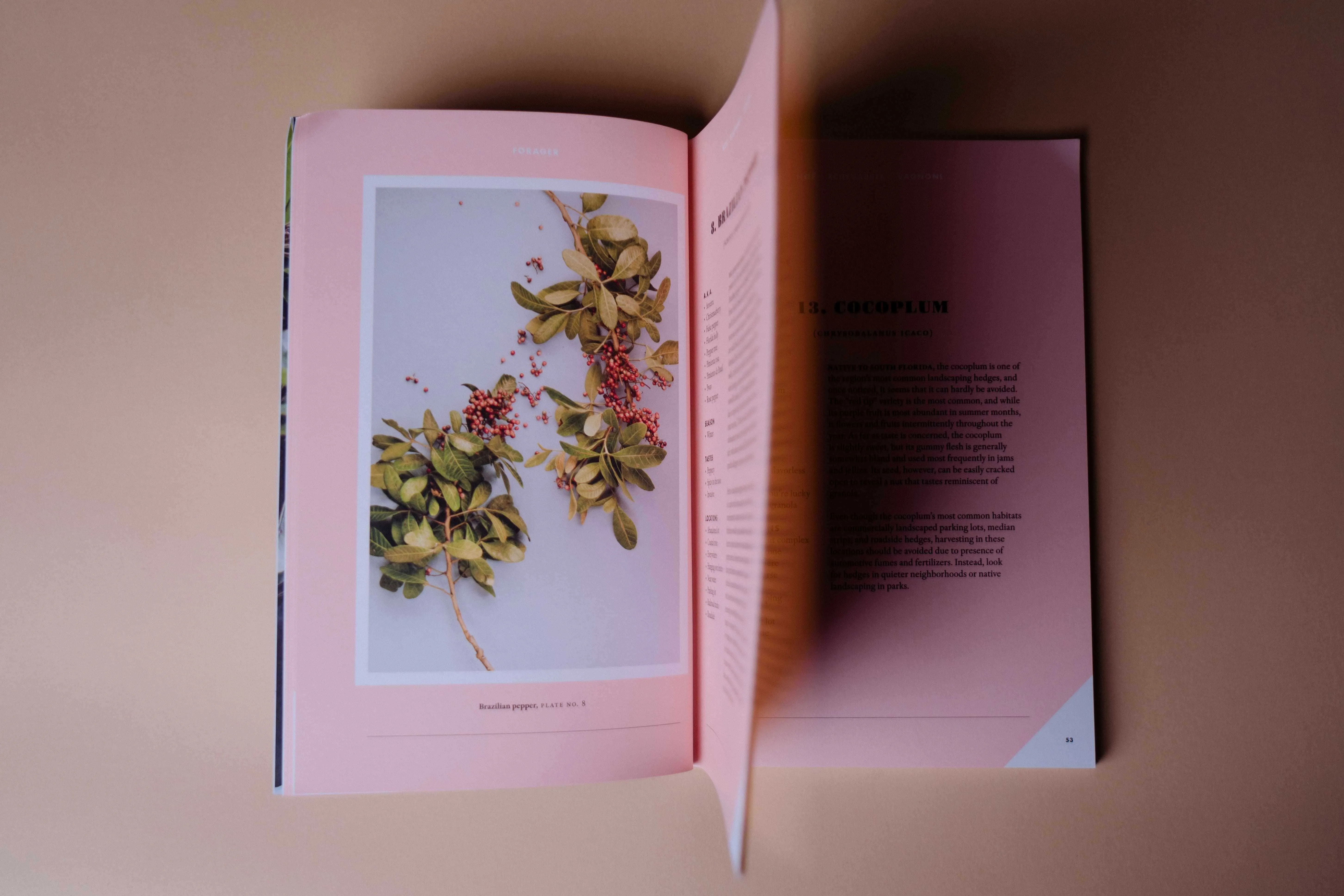 Book4