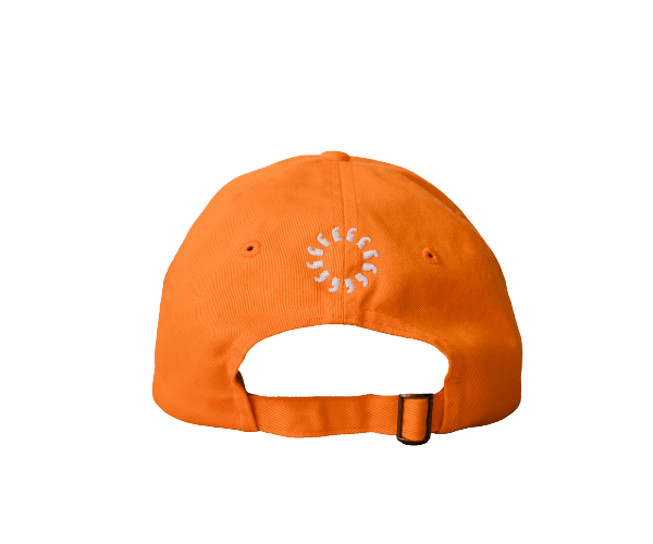Sunhat transparent back back 1