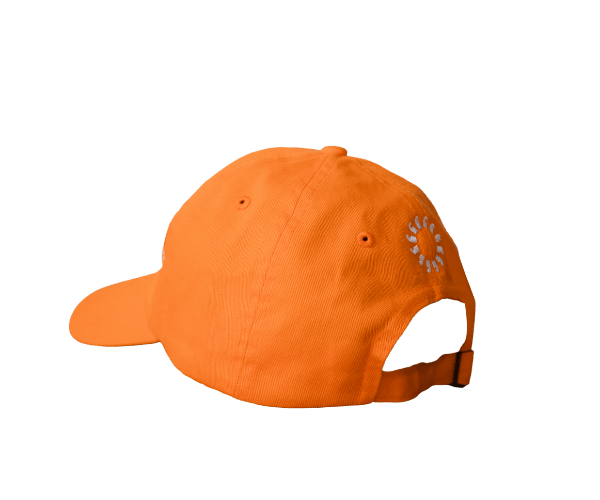Sunhat transparent side back